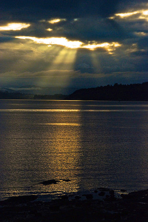 Crepuscular boom