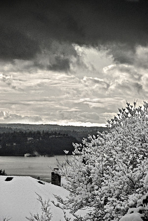 West Seattle Winter