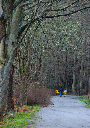 Walk in the park