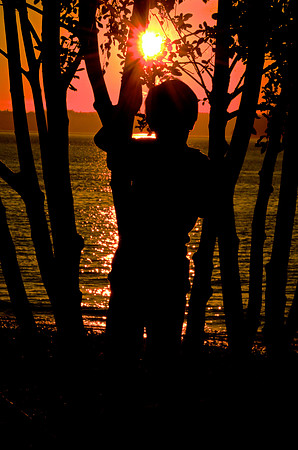Boy in the trees