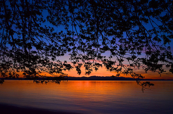 Lincoln Park in West Seattle