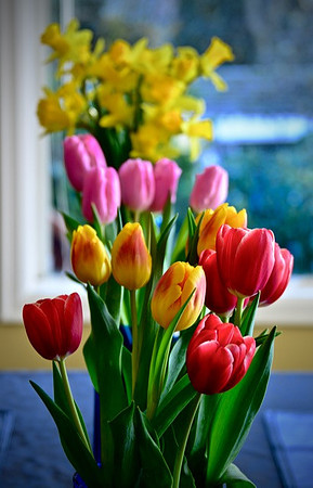 Spring flowers on the table