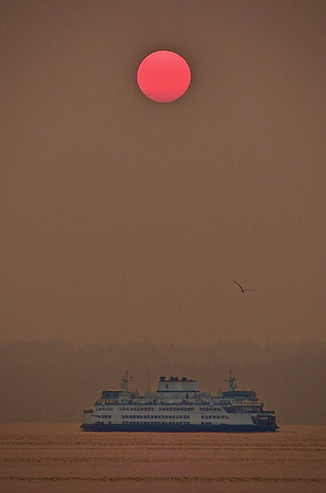 Smoky Sun Ferry