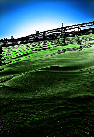Green water blue sky