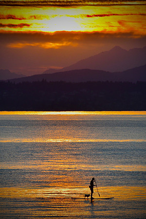 Paddleboarding with the dog