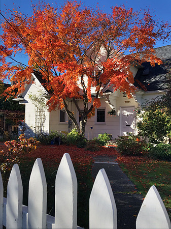 The sweet neighborhood